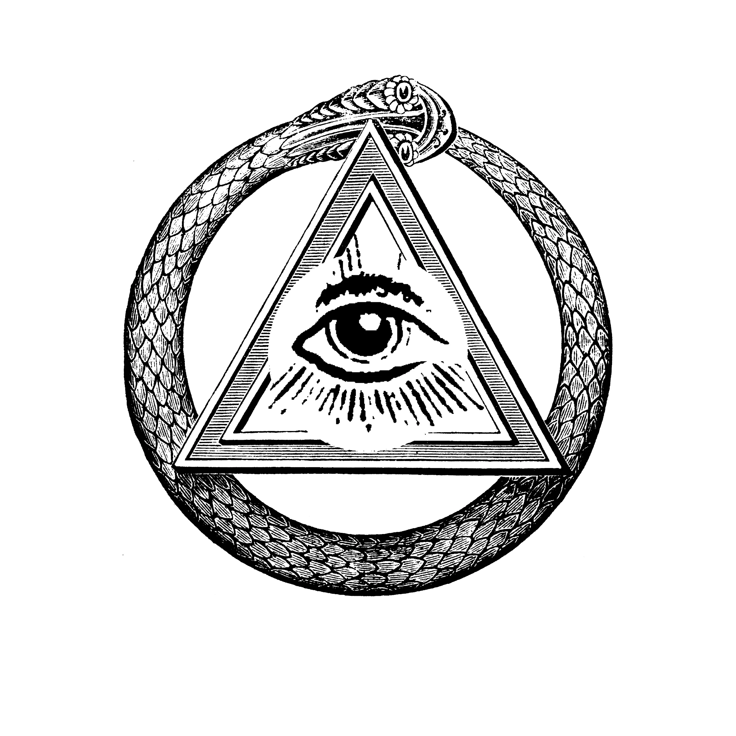 Freemason Snake And Eye Classic Tee